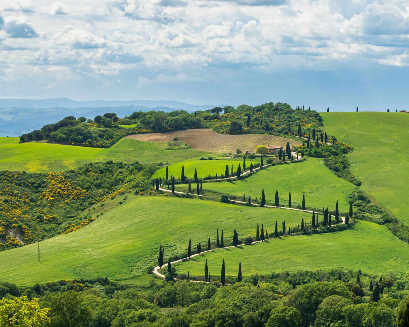 Panorama delle colline toscane nei pressi di Chianciano Terme con cipressi